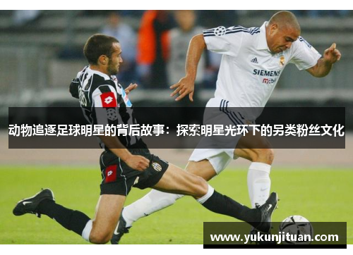 动物追逐足球明星的背后故事：探索明星光环下的另类粉丝文化